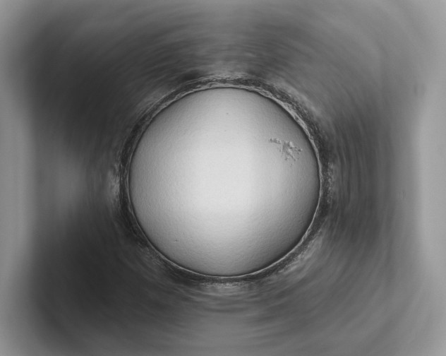 X0000101451257200807211305