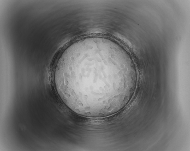 X0000101451258200807211305