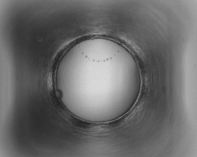 X0000101451262200807211305