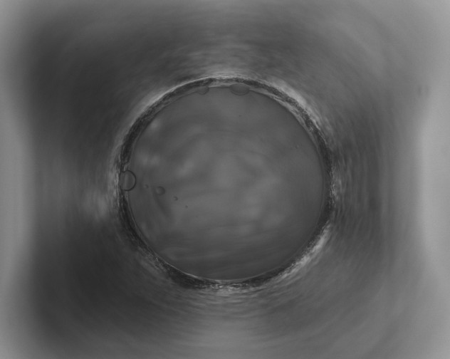 X0000101451263200807211305