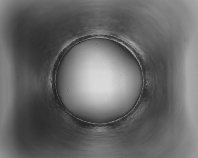 X0000101451264200807211305