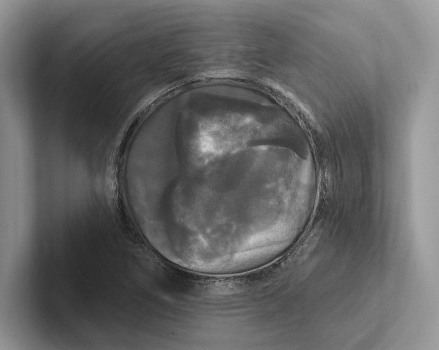 X0000101451266200807211305