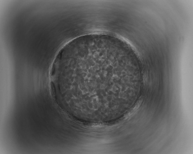 X0000101451267200807211305