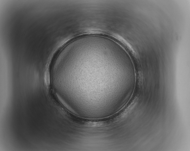 X0000101451269200807211305