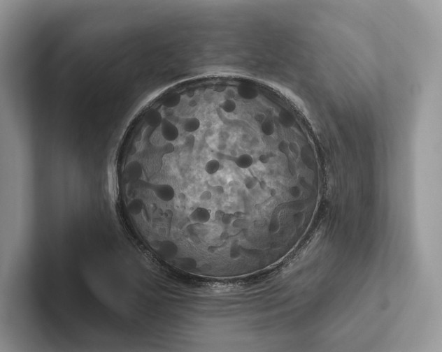 X0000101451271200807211305