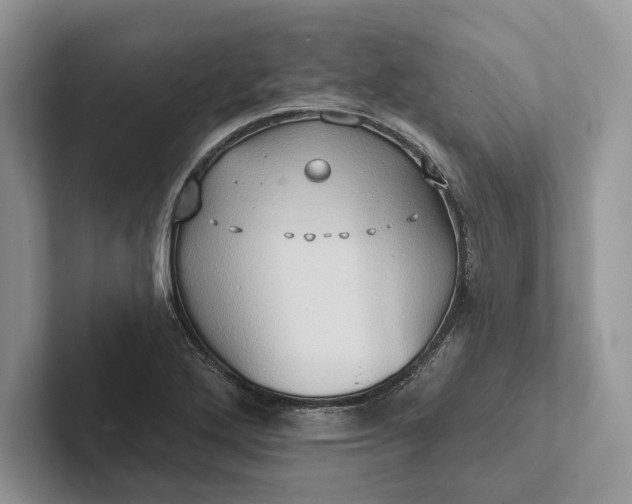 X0000101451272200807211305