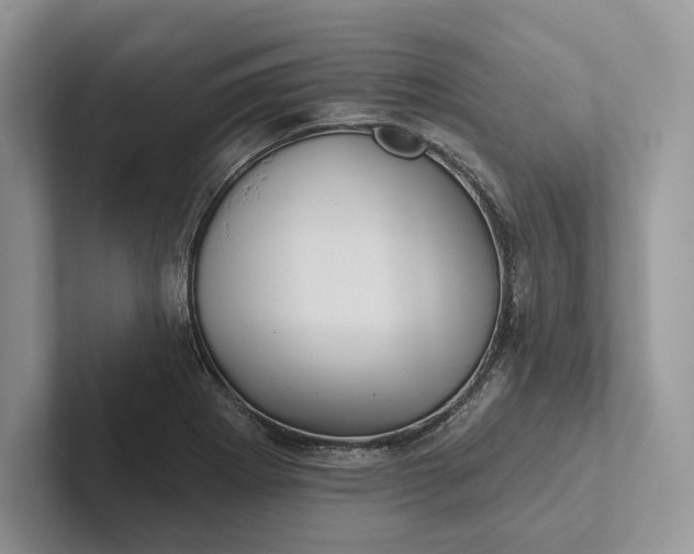 X0000101451273200807211305