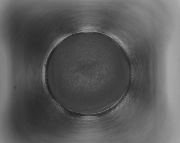 X0000101451277200807211305