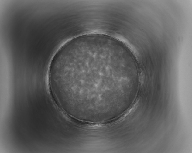 X0000101451278200807211305