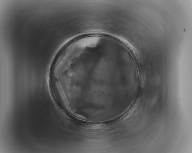 X0000101451279200807211305