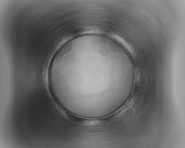 X0000101451282200807211305