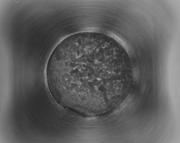 X0000101451283200807211305