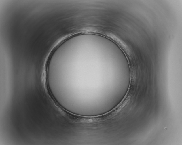 X0000101451286200807211305