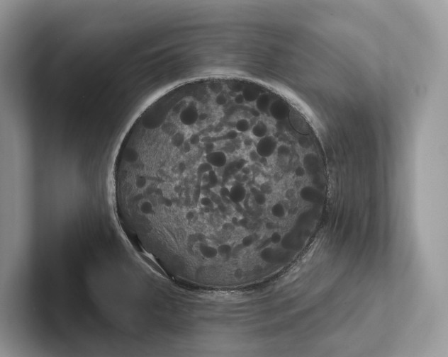 X0000101451287200807211305