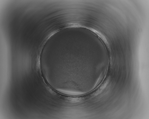 X0000101451289200807211305