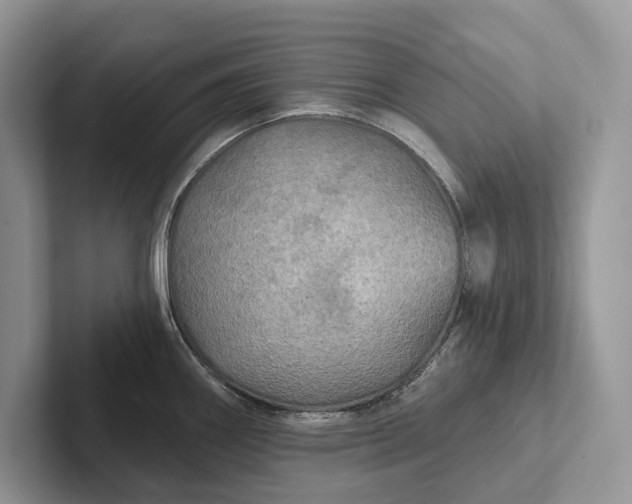 X0000101451290200807211305