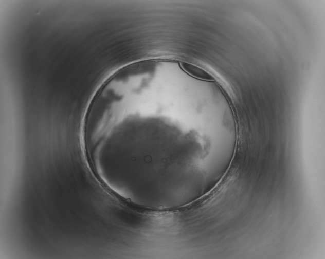 X0000101451291200807211305