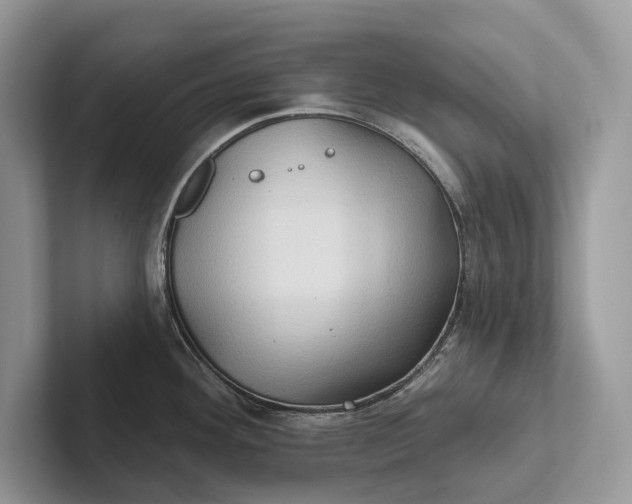 X0000101451292200807211305