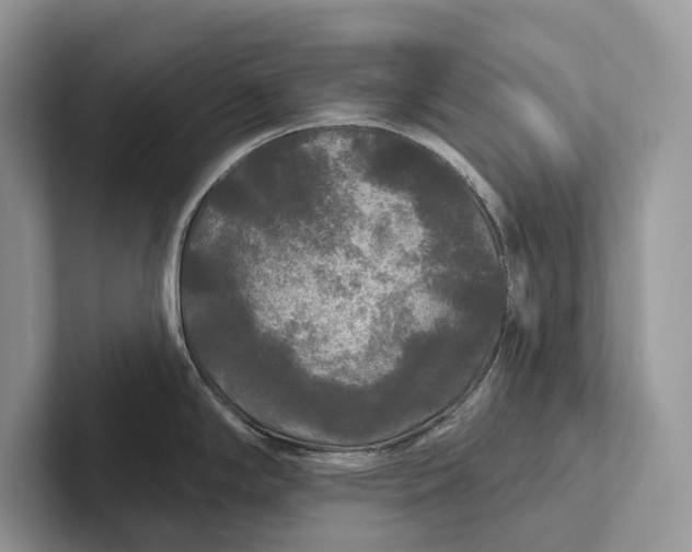 X0000101451294200807211305