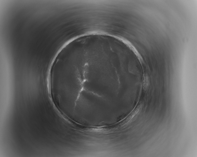 X0000101451295200807211305