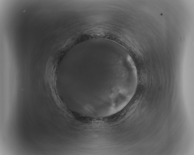 X0000101451297200807211304