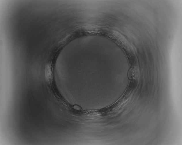 X0000101451298200807211304