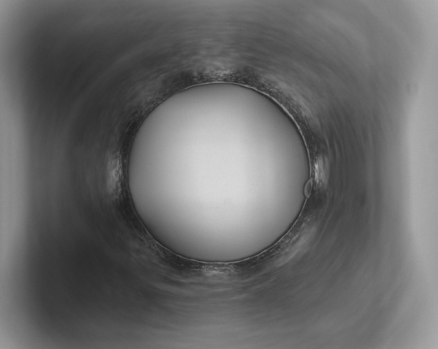 X0000101451299200807211304