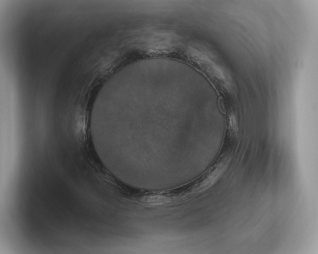 X0000101451300200807211304