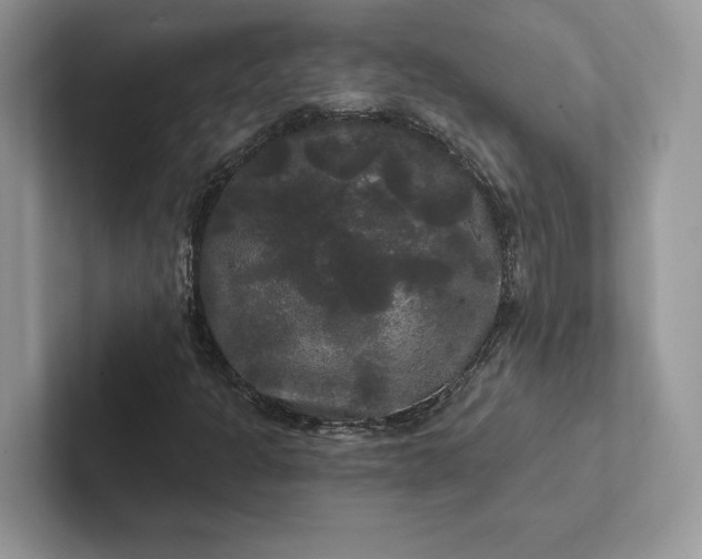 X0000101451301200807211304