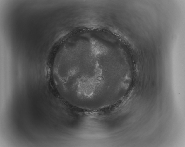 X0000101451302200807211304