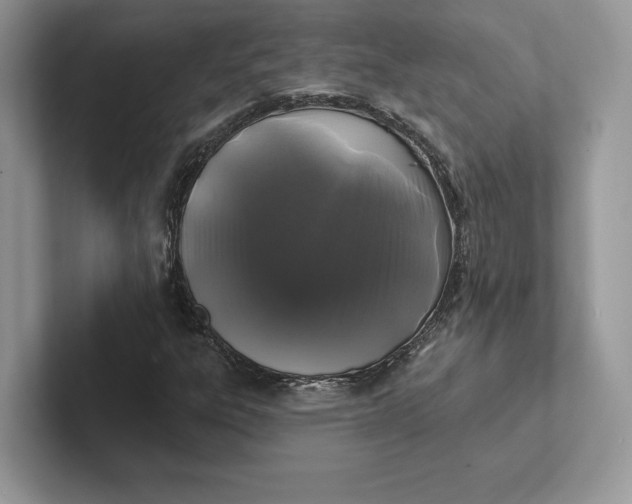 X0000101451303200807211304