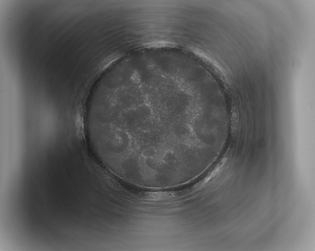 X0000101451305200807211304