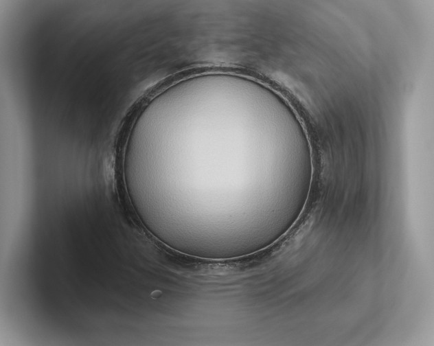 X0000101451307200807211304