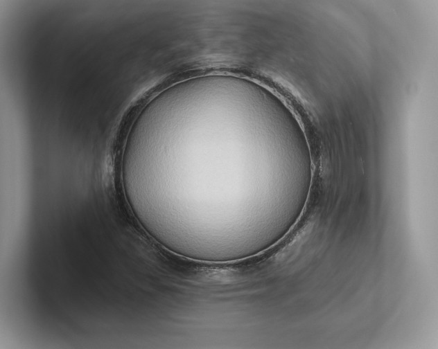 X0000101451309200807211304