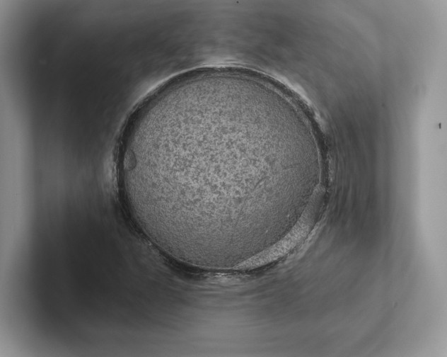 X0000101451311200807211304