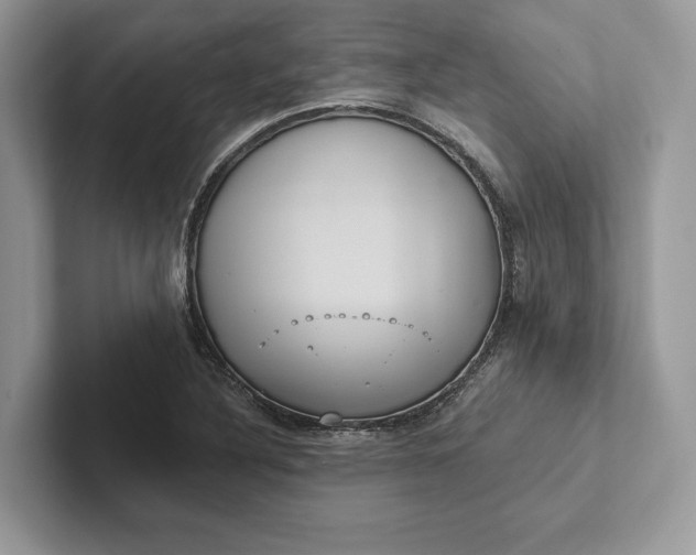 X0000101451316200807211304