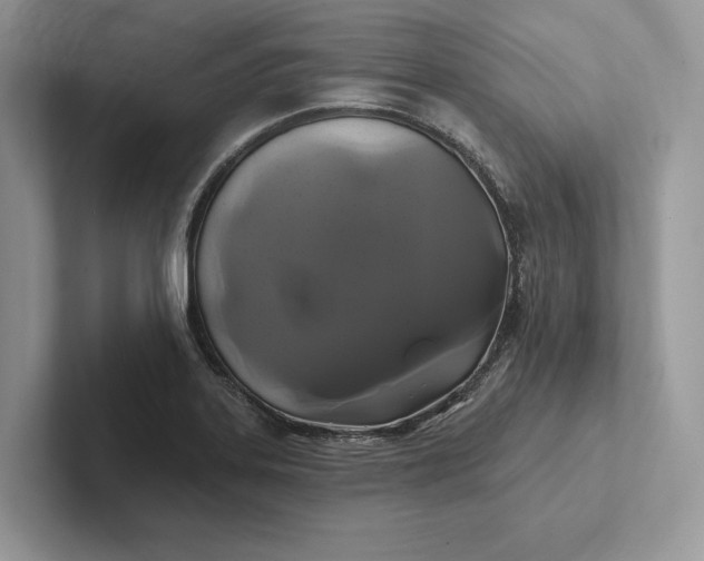 X0000101451323200807211305