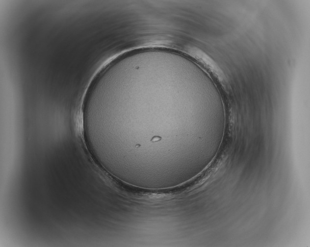 X0000101451324200807211305