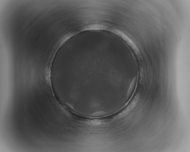 X0000101451329200807211305