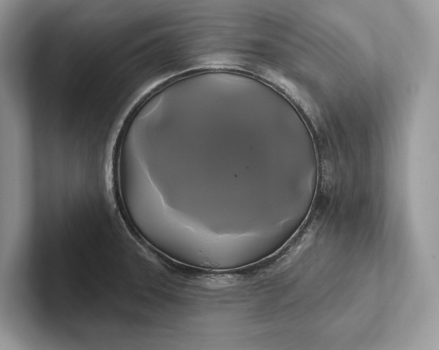 X0000101451331200807211305