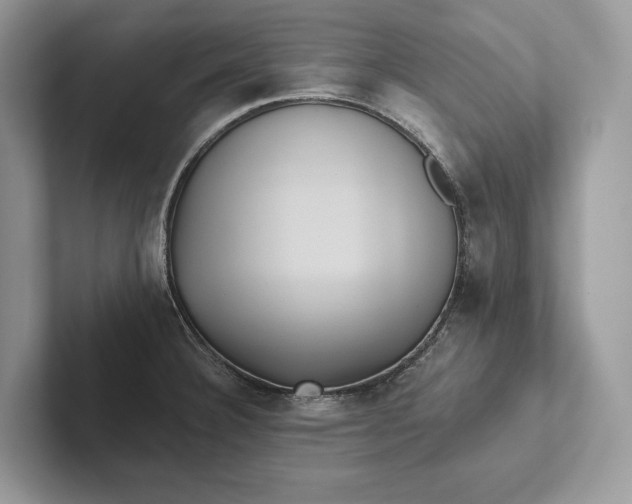 X0000101451332200807211305