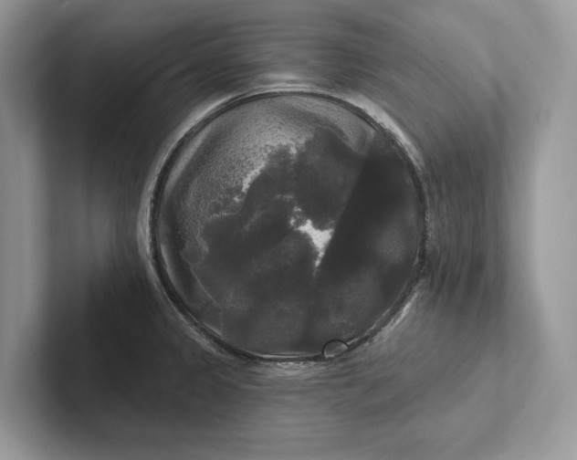 X0000101451333200807211305