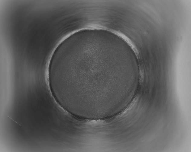 X0000101451335200807211305