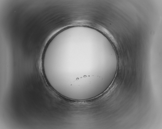 X0000101451336200807211305