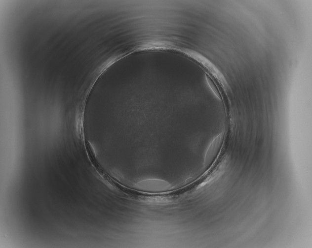 X0000101451337200807211305