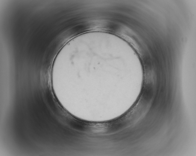 X0000101451338200807211305