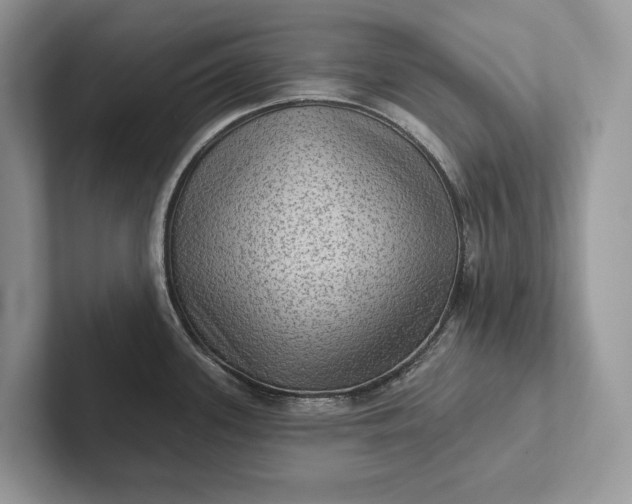 X0000101451339200807211305