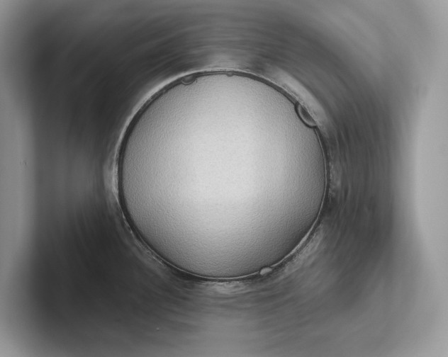 X0000101451340200807211305