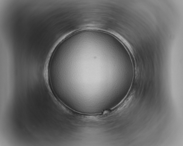 X0000101451341200807211305