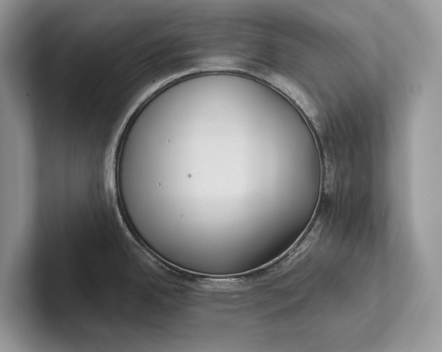 X0000101451342200807211305